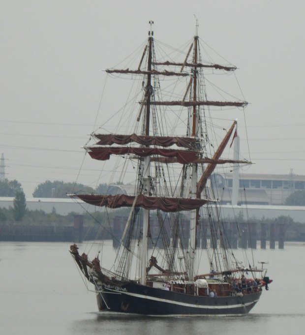 tall ships 13
