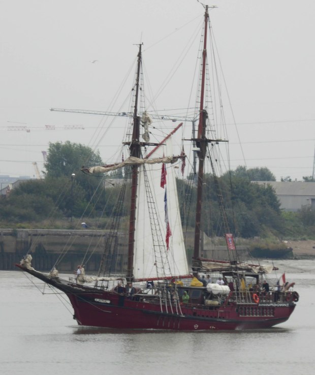 tall ships 14