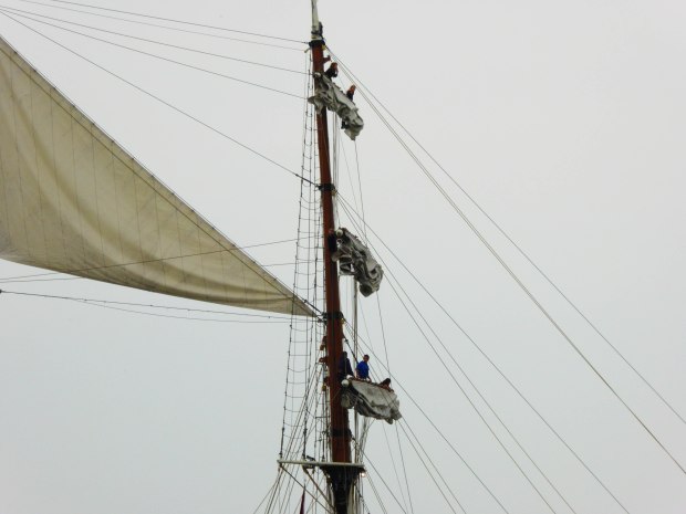 tall ships 4