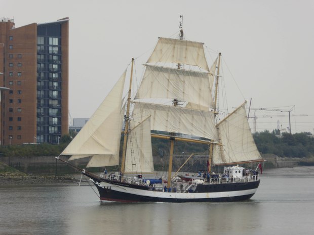 tall ships 9