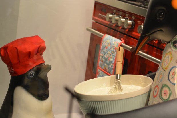 John Lewis Christmas Windows 8