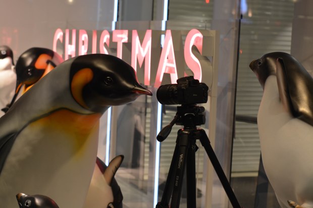 John Lewis Christmas Windows 9