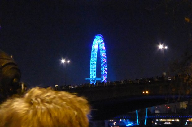 New Years Eve 2015 1