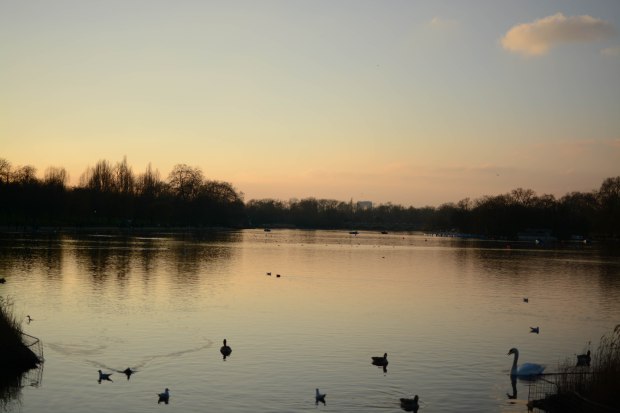 Hyde Park 27