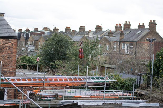 Stringed Instrument. 1