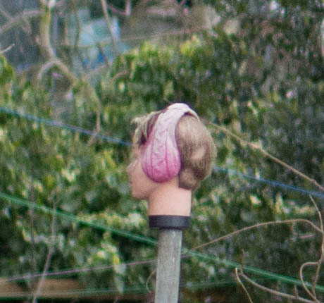 Stringed Instrument. 2