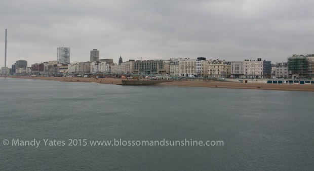 Brighton 13