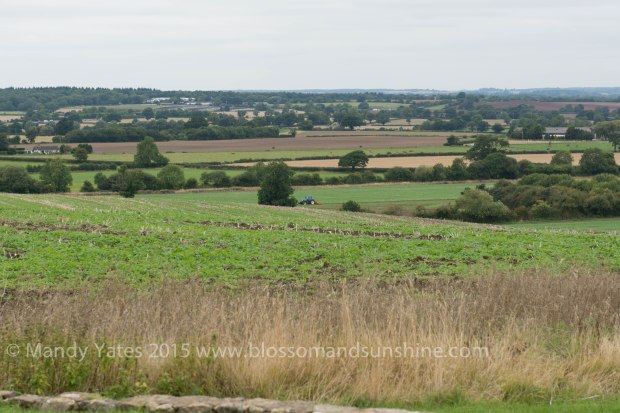 Chesterton Windmill 5