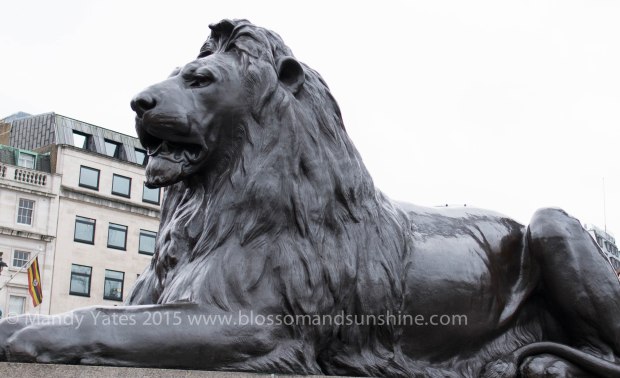 Trafalgar Square 6