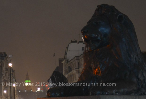 Trafalgar Square 8
