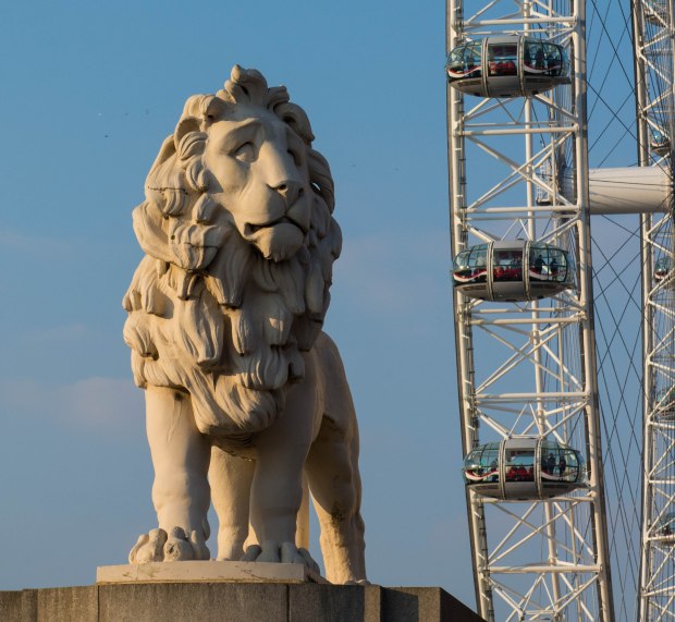 London eye 5