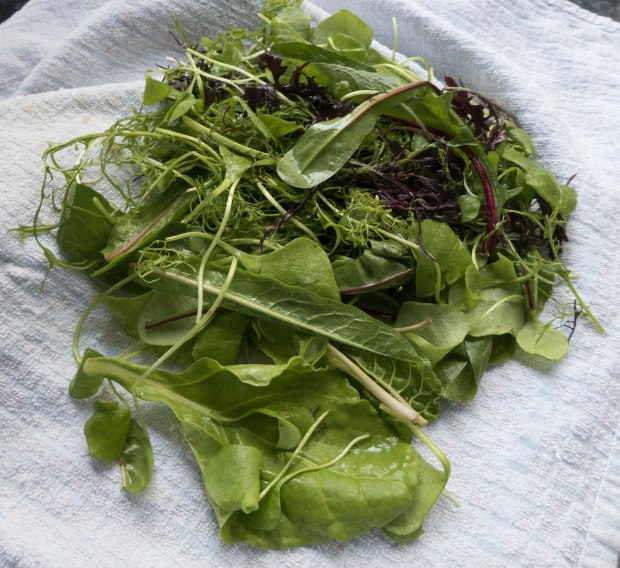 Mothers days treats._