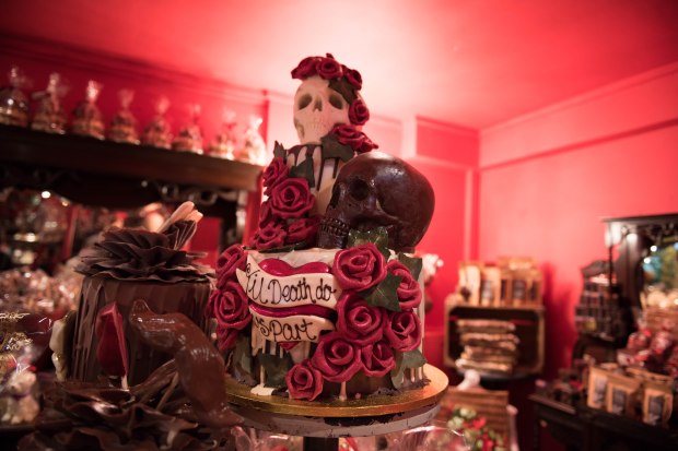 Brighton 50th 3 (1 of 1)