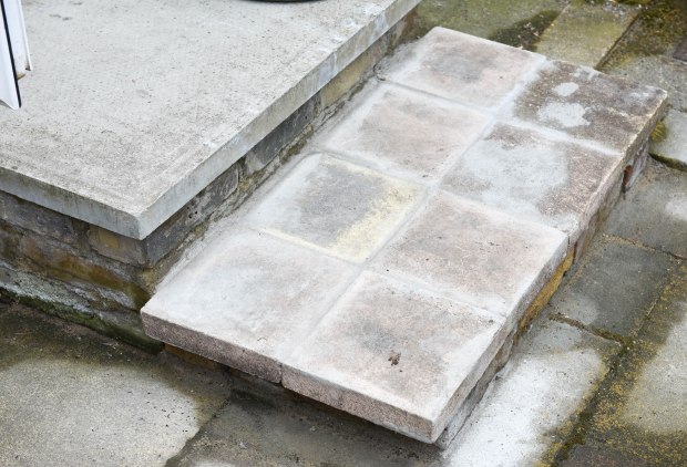 Garden in June 2 (1 of 1)