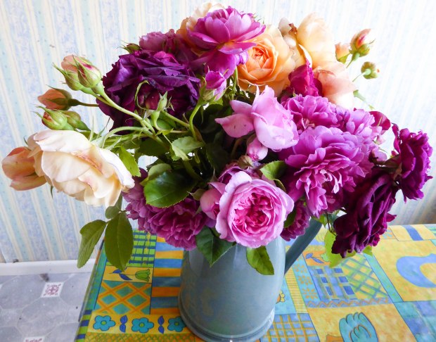 Gorgeous roses.  (1 of 1)