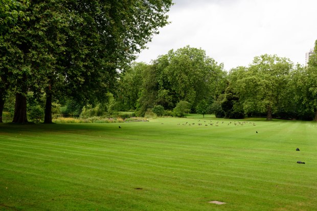 Buckingham Palace 1 (1 of 1)