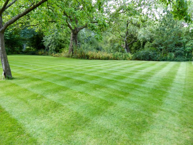 Buckingham Palace 10 (1 of 1)