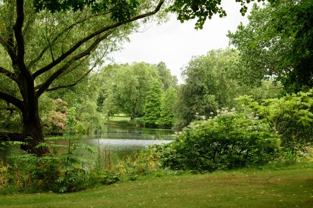 Buckingham Palace 3 (1 of 1)