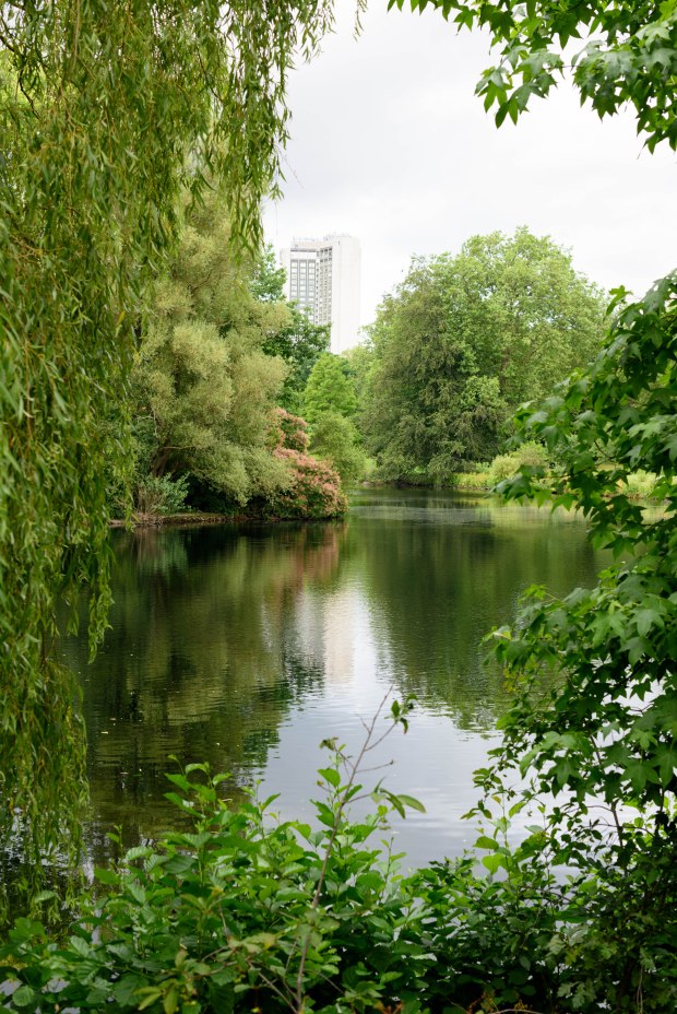 Buckingham Palace 4 (1 of 1)