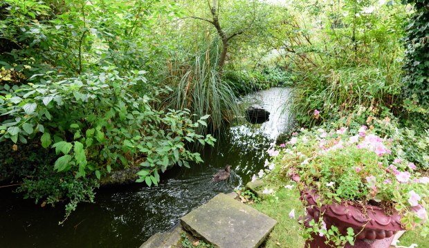 roof-top-gardens-2-1-of-1