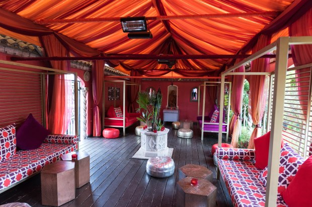 roof-top-gardens-5-1-of-1