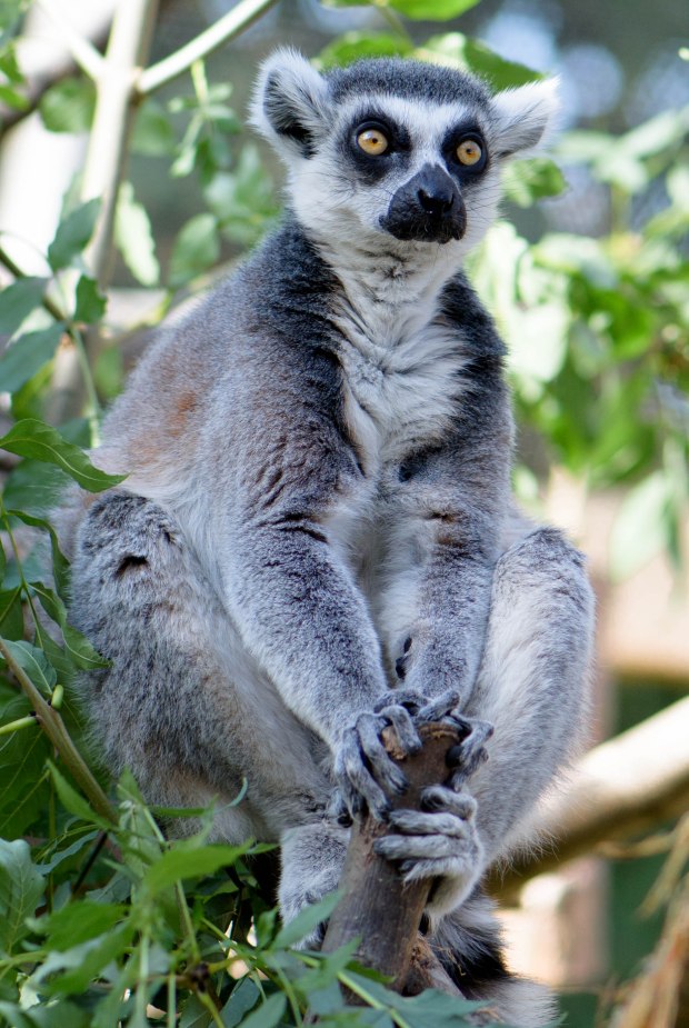 october-2016-10-1-of-1