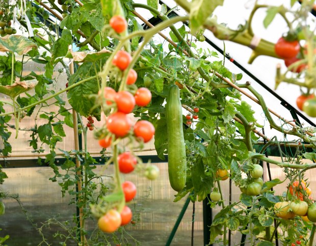 october-2016-18-1-of-1