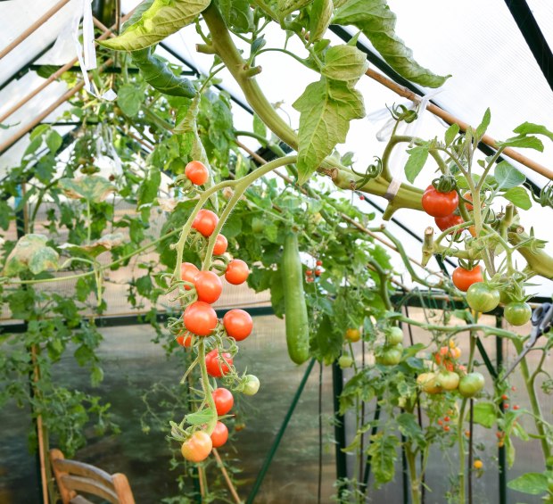 october-2016-22-1-of-1