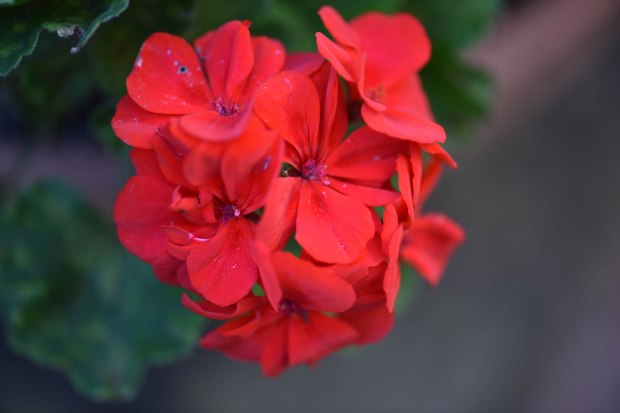 october-2016-23-1-of-1