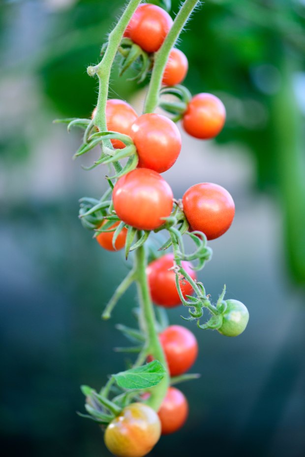 october-2016-24-1-of-1