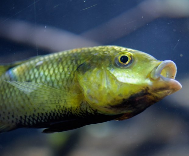 october-2016-3-1-of-1