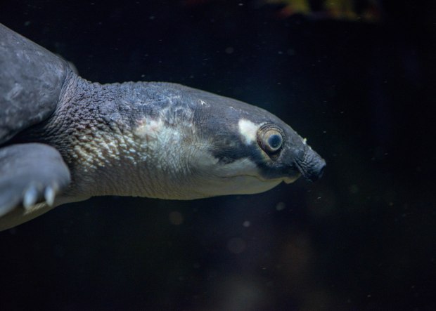 october-2016-4-1-of-1