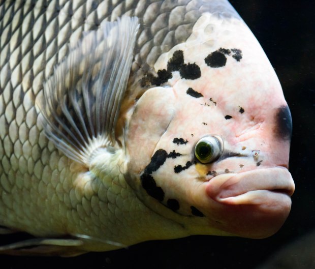 october-2016-5-1-of-1