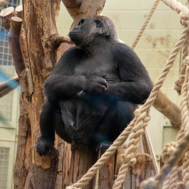 october-2016-7-1-of-1