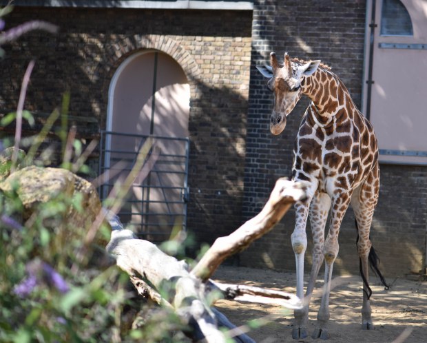 october-2016-8-1-of-1