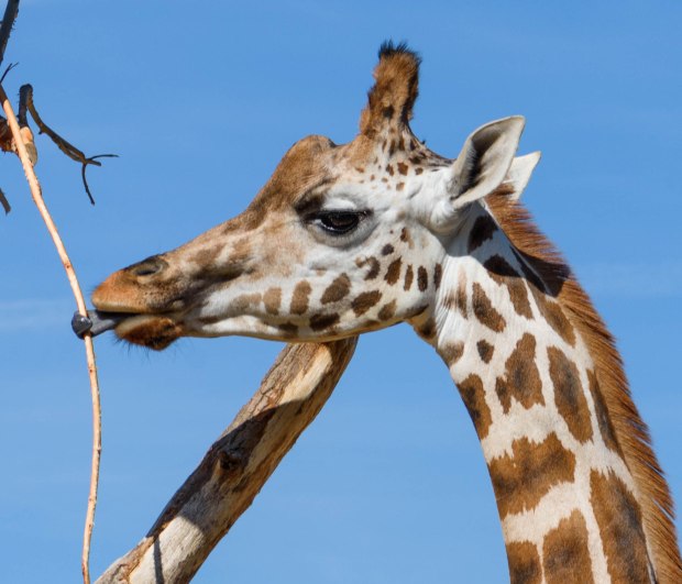 october-2016-9-1-of-1