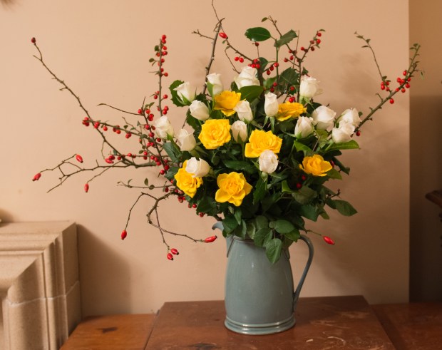 christmas-flowers-2
