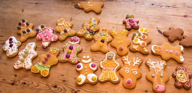 icing-gingerbread-10