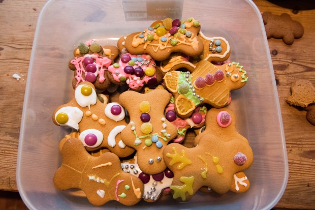 icing-gingerbread-12