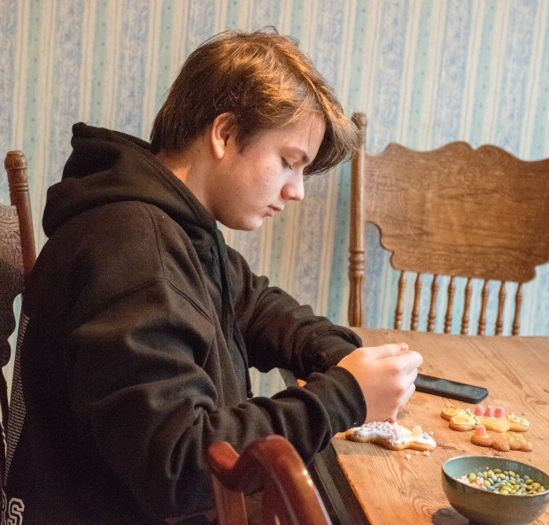 icing-gingerbread-14