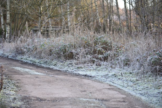 brandon-marsh-for-blog-4