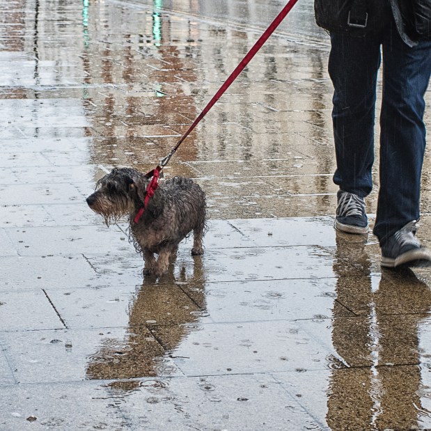 rainy-day-leamington-feb-2017-1-3