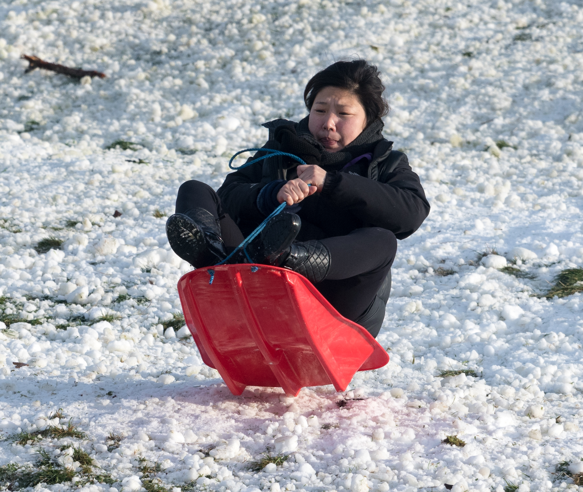 Sledging in the Abbey Fields. – blossom and sunshine